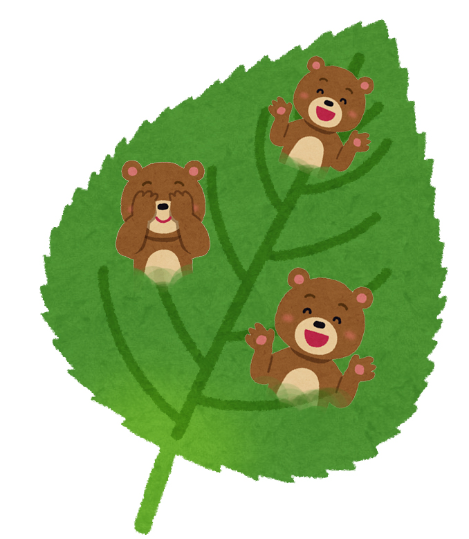 クマリン想像図