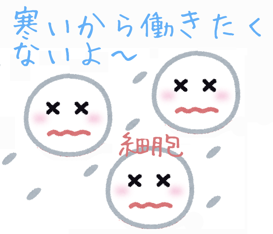 寒さと保水力の関係