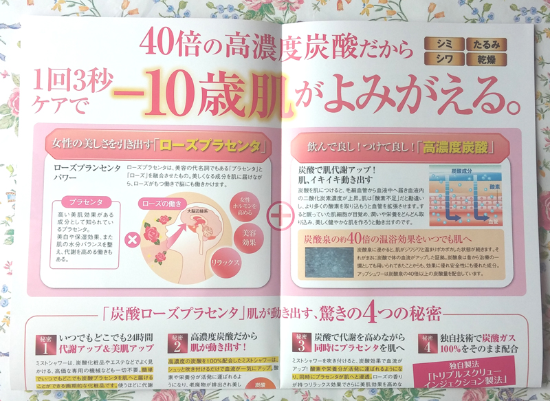 アップシュワー リーフレット