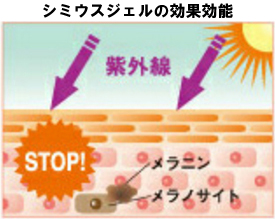 シミウスジェルの効果効能